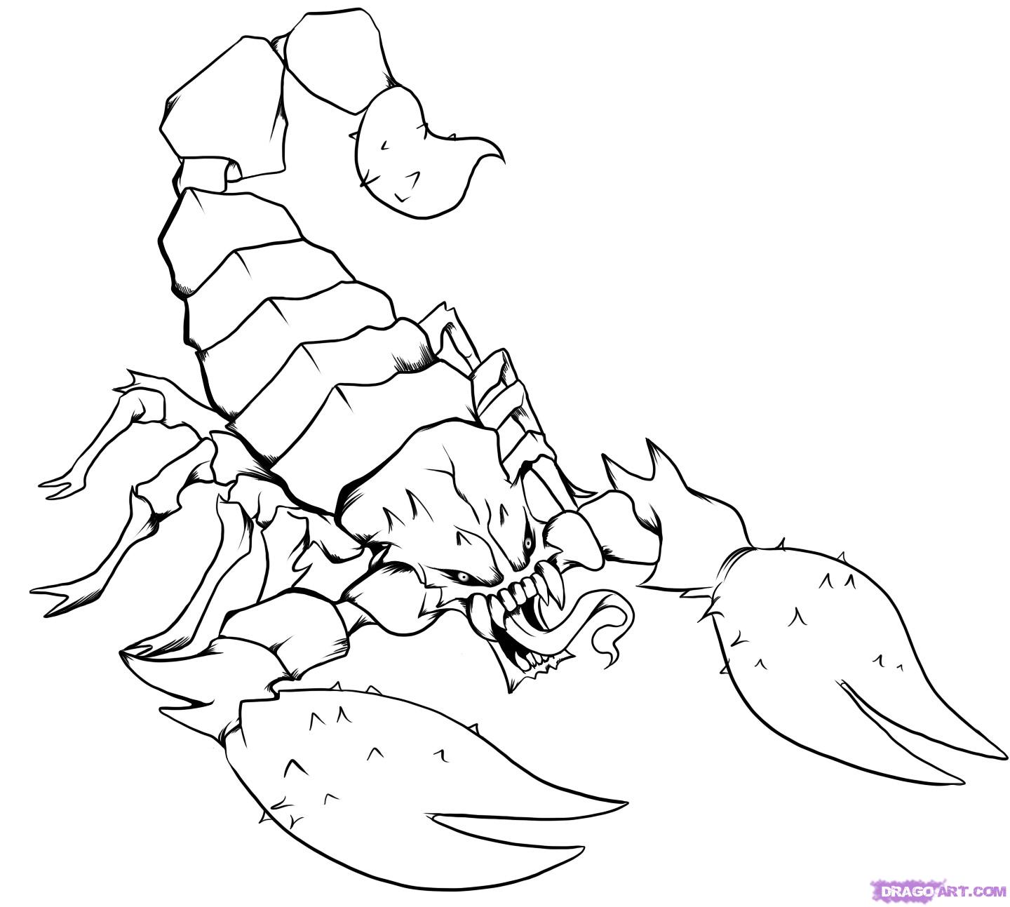 How to Draw a Scorpion Tattoo, Step by Step, Tattoos, Pop Culture ...