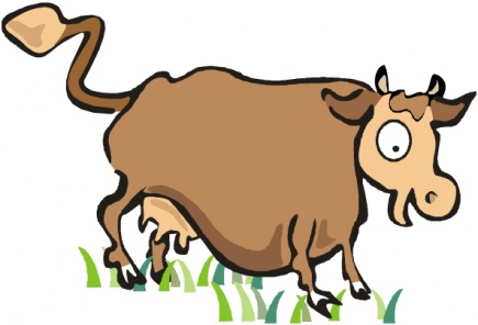 NMBU | Virtual animal welfare library | Children's room