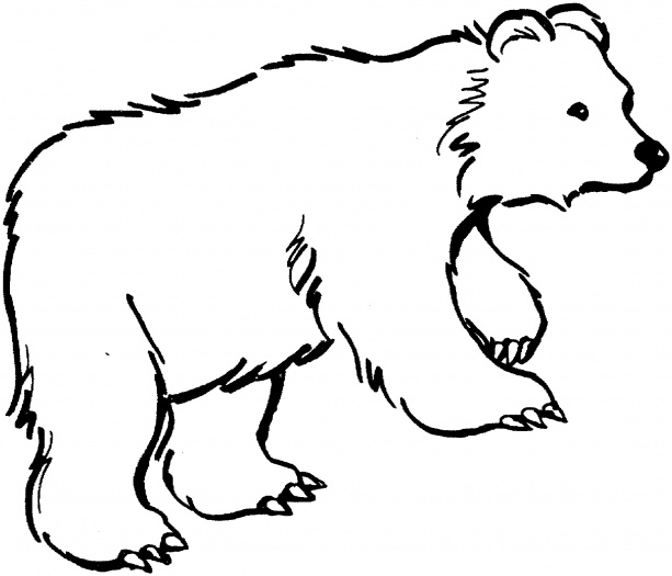 Animal Outlines to Print | Bear 13 coloring page | crafts | Pinterest