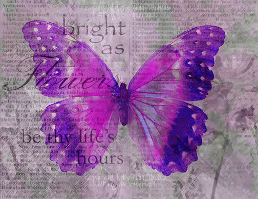 Art: Butterfly Dream - Picasso Dreams