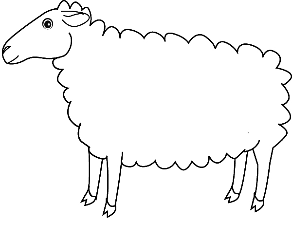 coloring-sheep.jpg