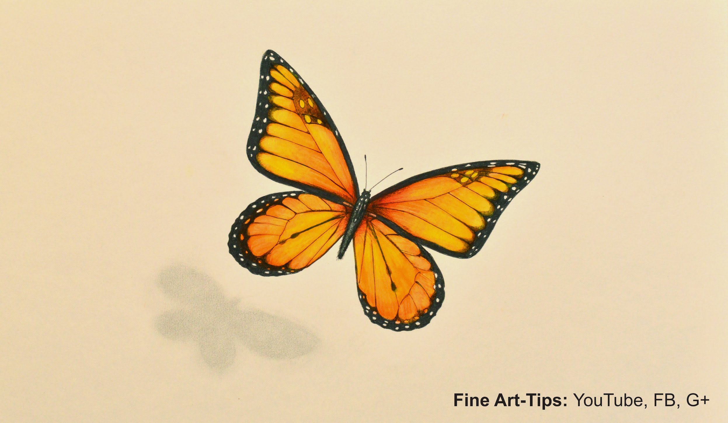 How to Draw a Monarch Butterfly With Markers and Color Pencils ...