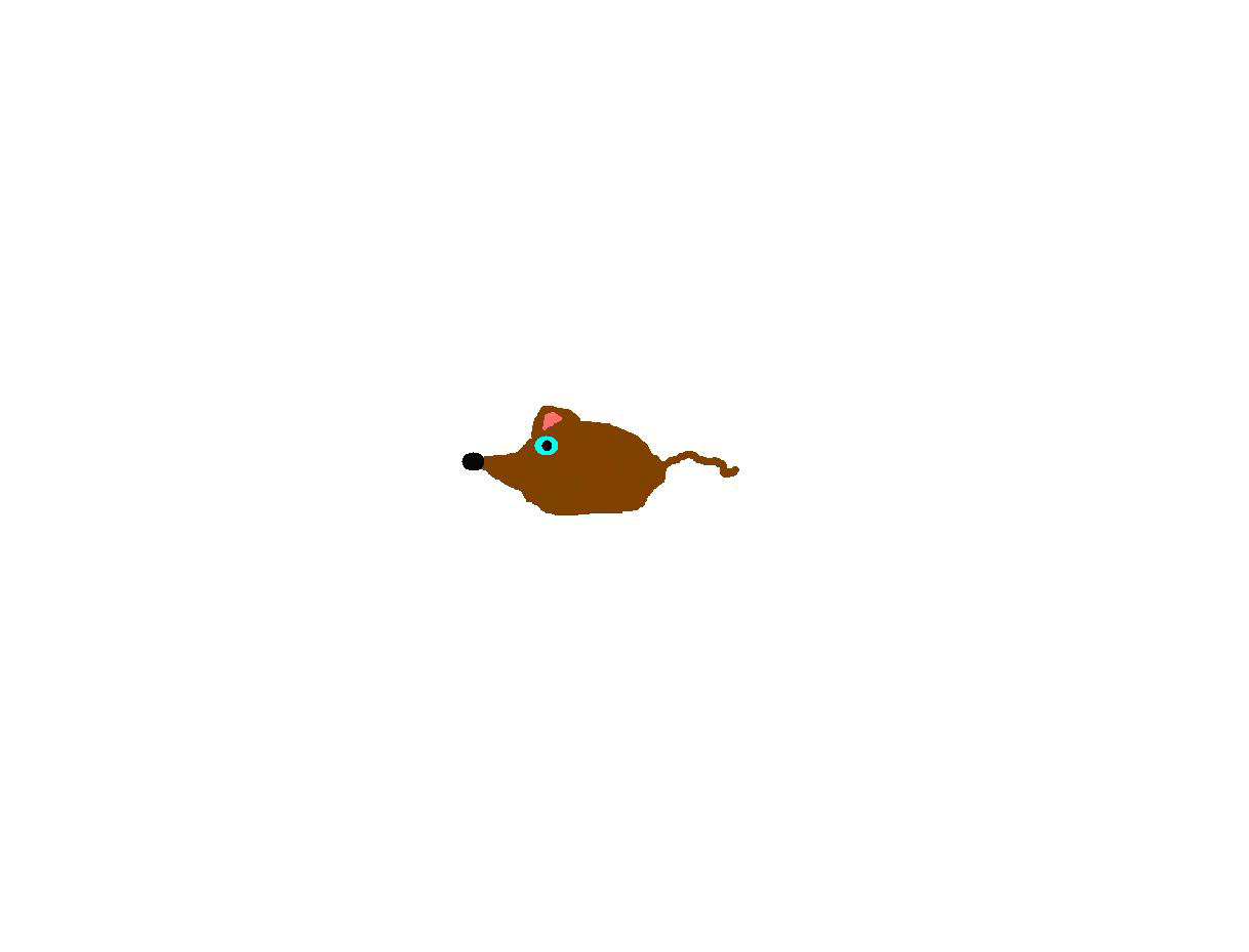 Fat Mouse GIFs on Giphy