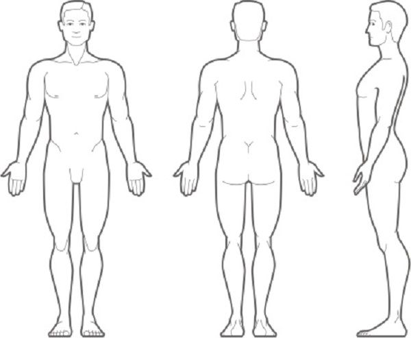 human body outline front and back | Human body outline | Pinterest