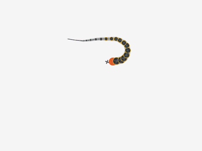Dribbble - (Animated) Snake by Antonio Krämer Fernandez
