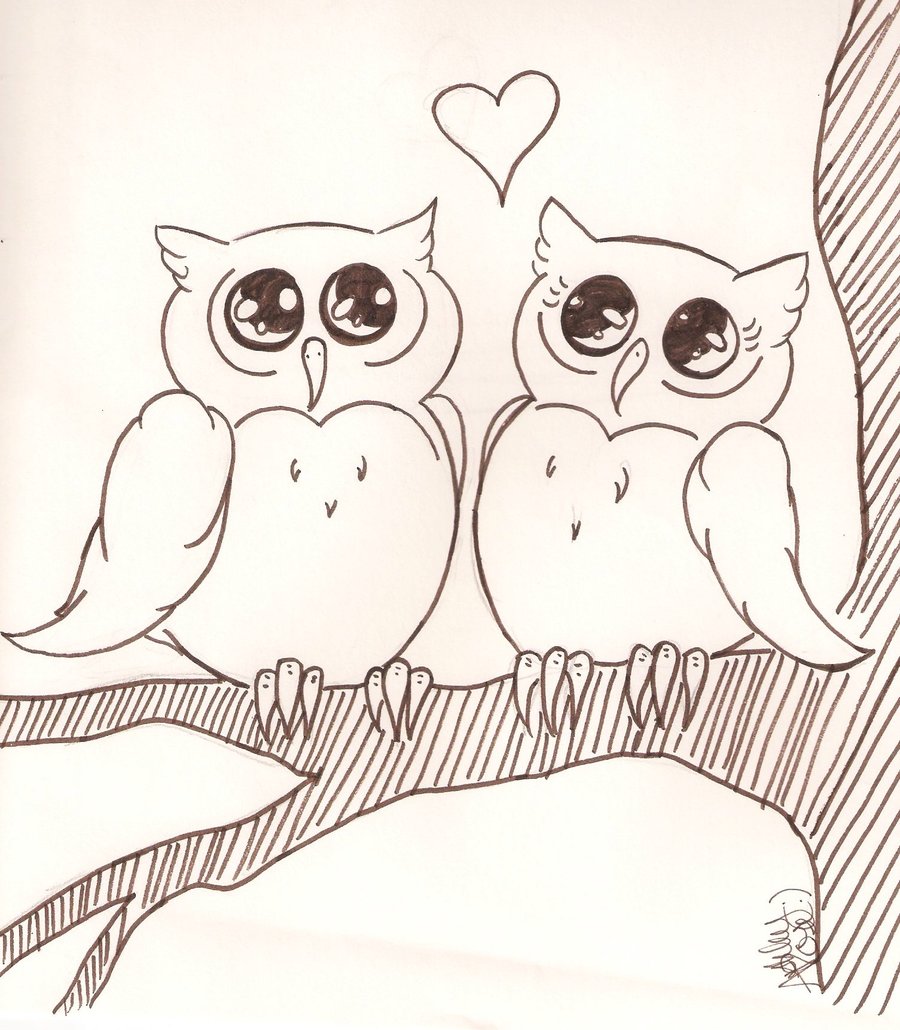 Simple Cute Owl Drawings - Gallery