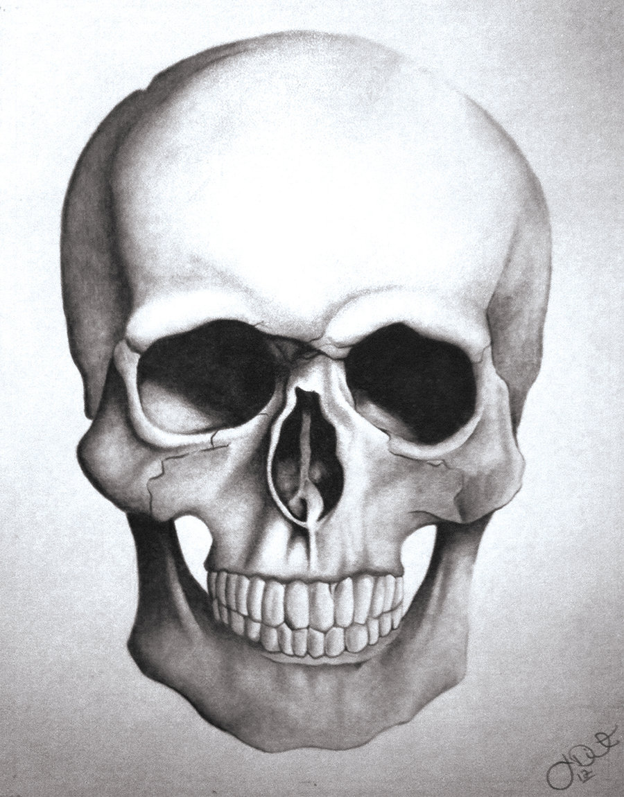 Skulls Drawings Photos