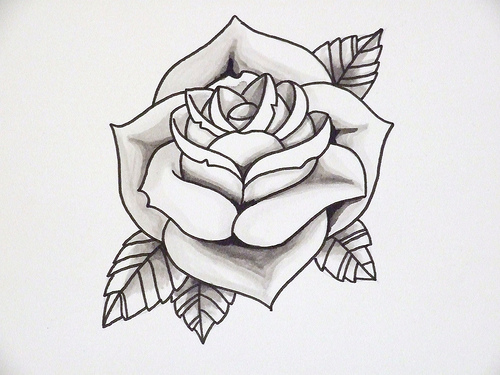 Rose outline 2 | Flickr - Photo Sharing!