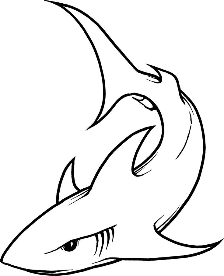 shark line drawing | Sharks | Pinterest
