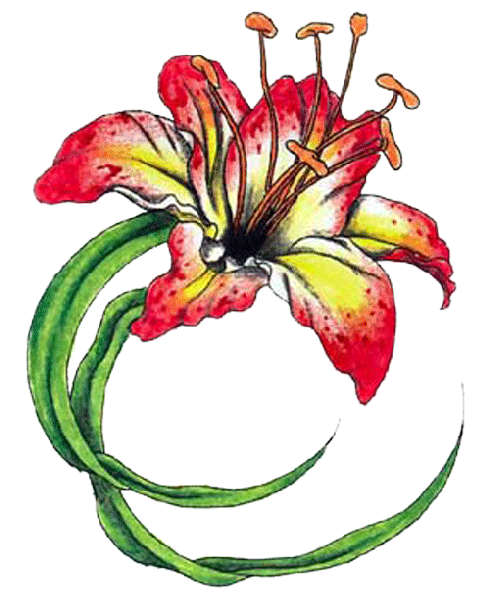 Tropical Flower Tattoos