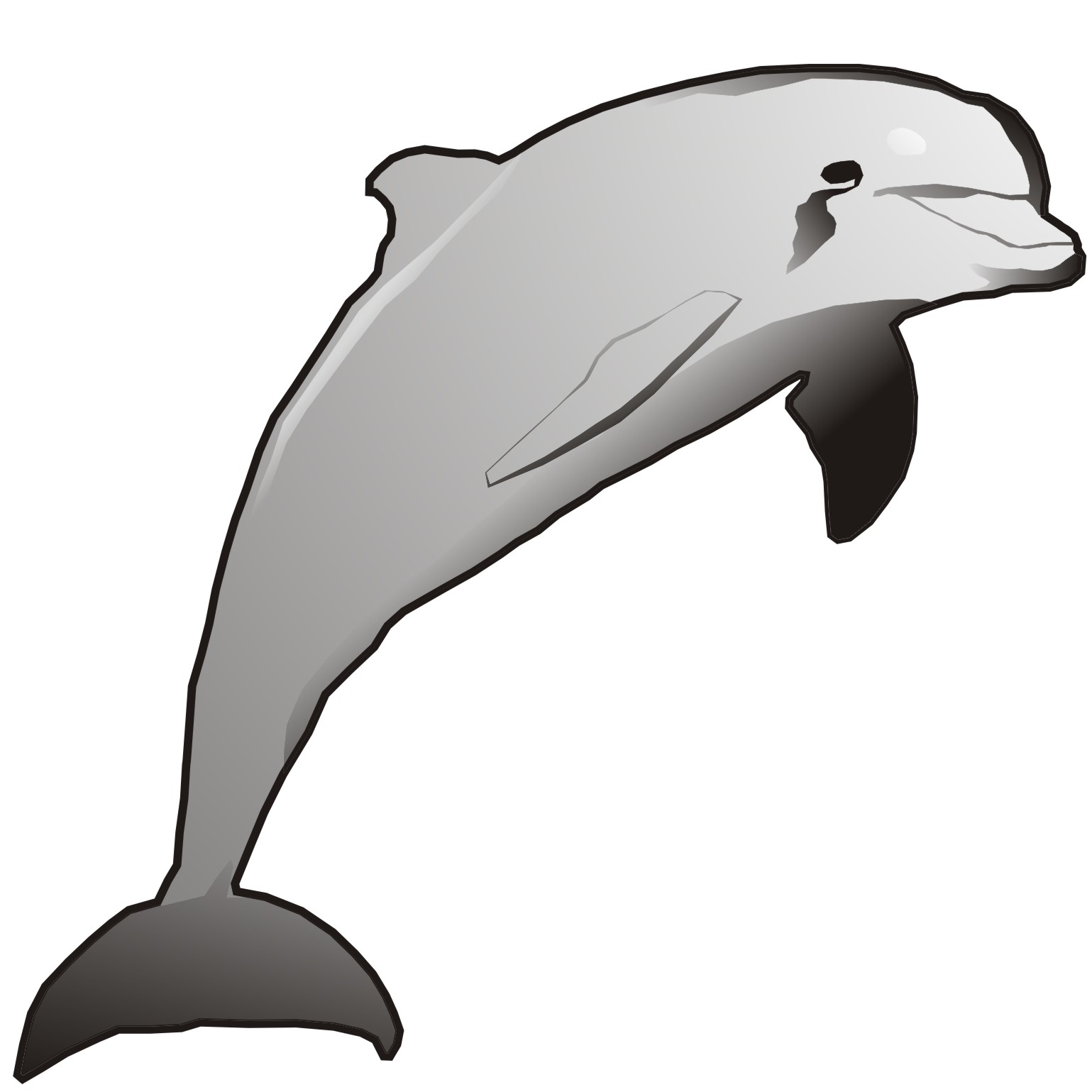 Dolphin Illustrations - Cliparts.co