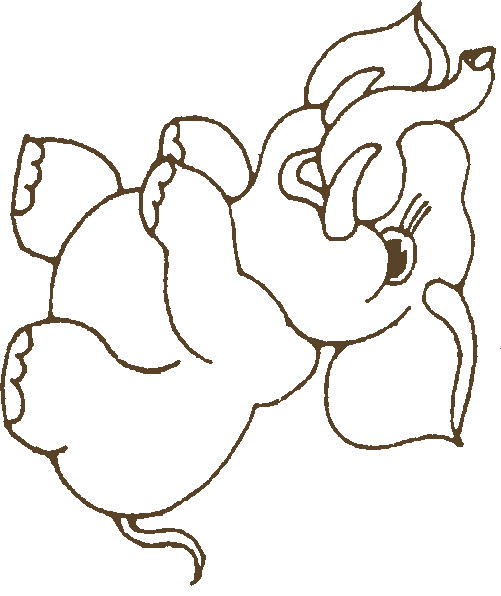 Elephant coloring pages for kids - ClipArt Best - ClipArt Best