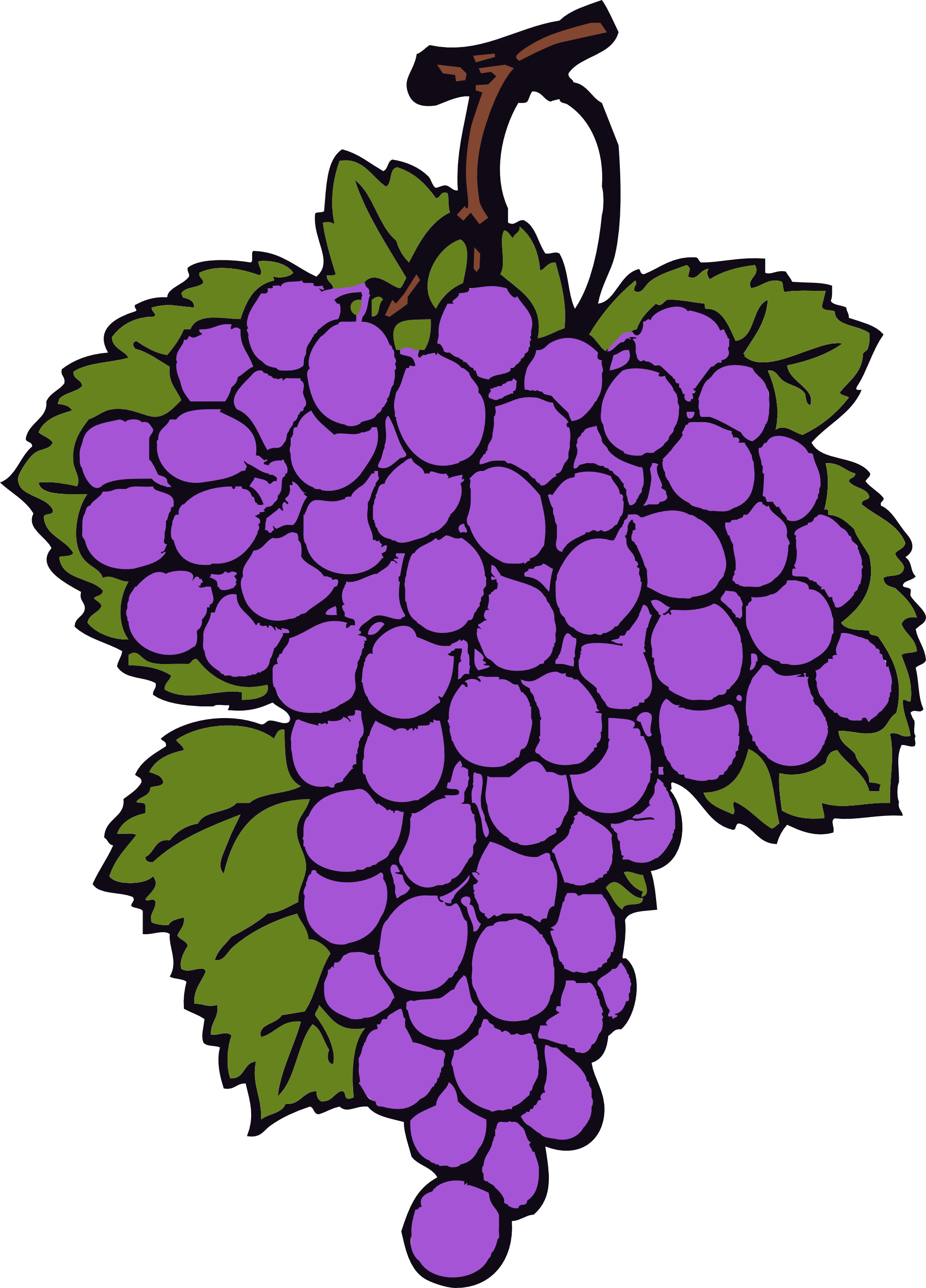 Pix For > Grapes And Wine Clipart