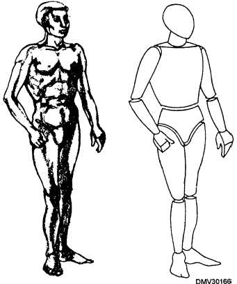 Figure 3-29.The human form reduced to basic shapes.