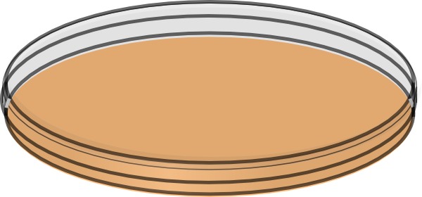 Petri Dish clip art - vector clip art online, royalty free ...