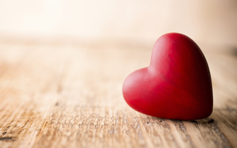 The Flip Side of Love | Maria Rodale