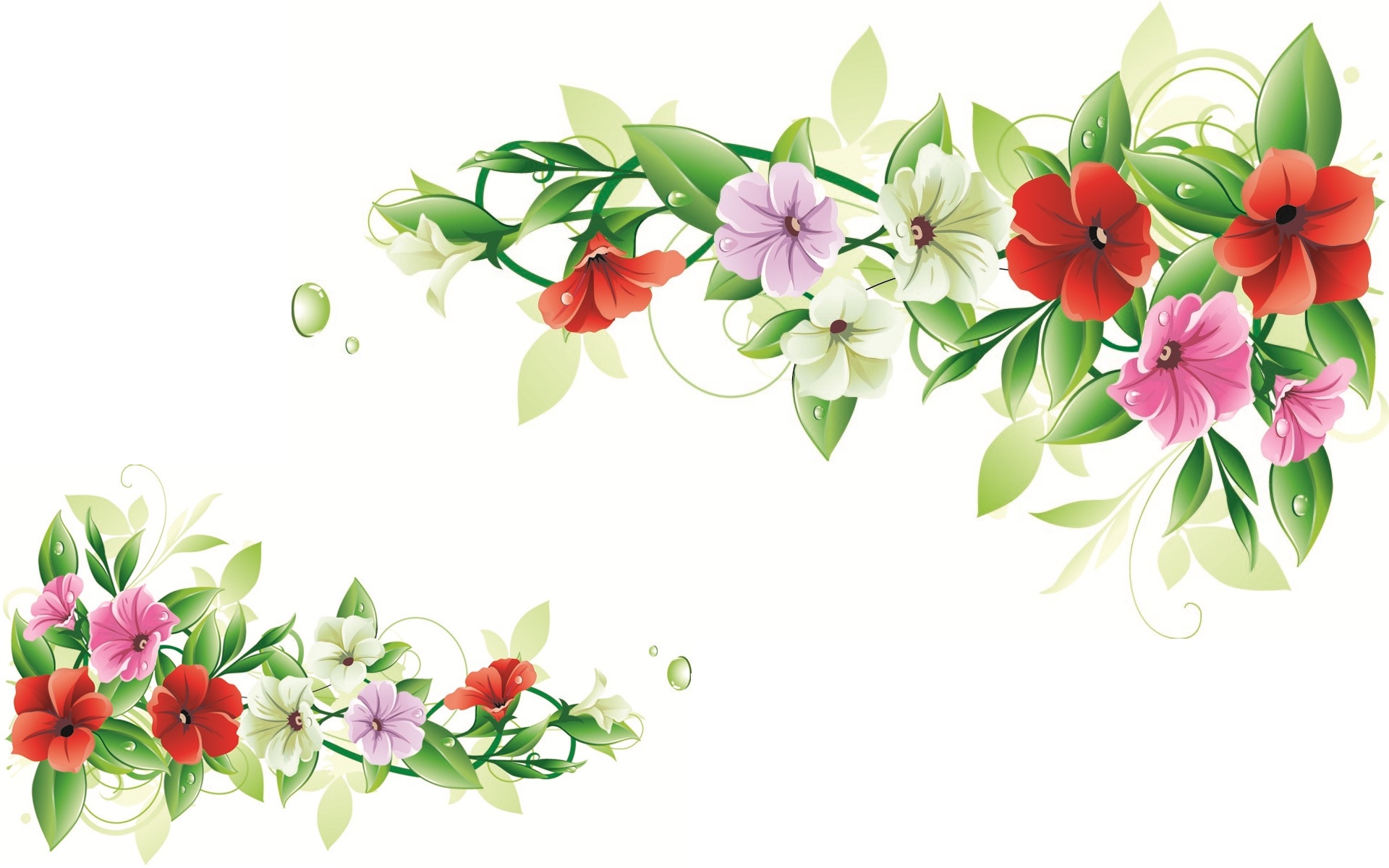 Flowers design frame set | HD Wallpapers Rocks