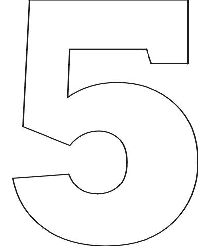 5 Years | Compost and Height
