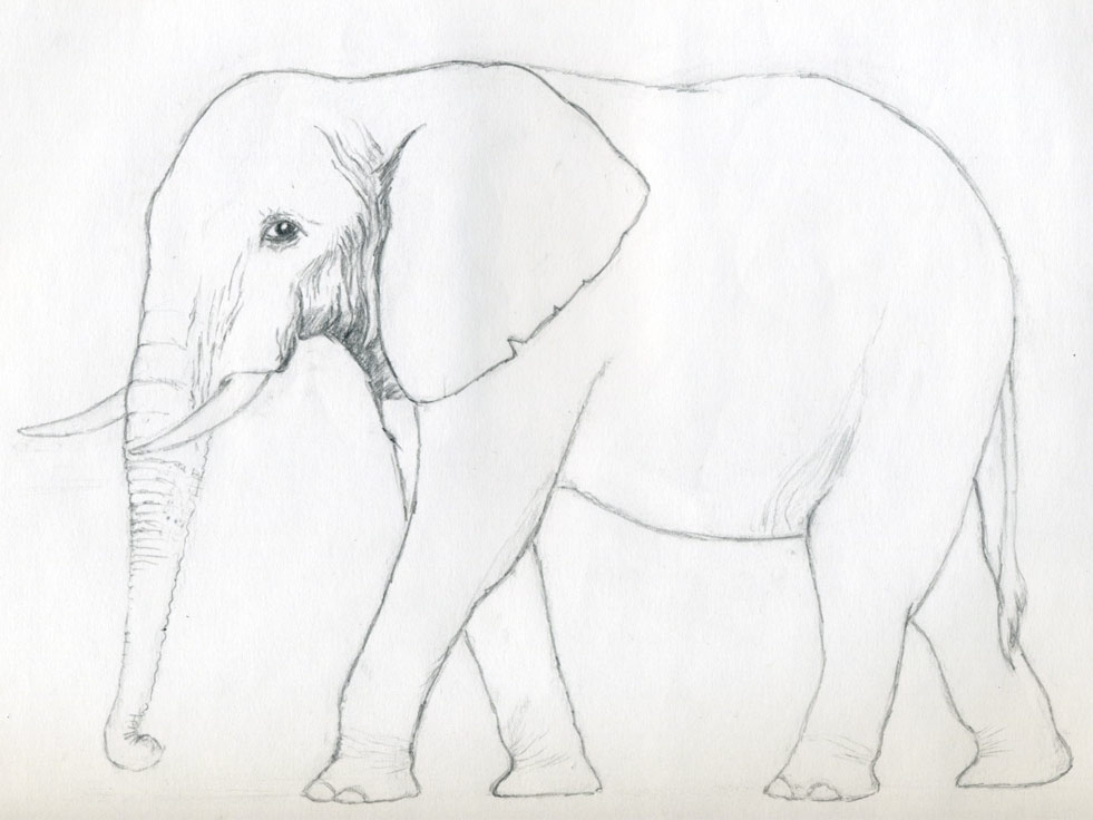 how-to-draw-an-elephant07.jpg