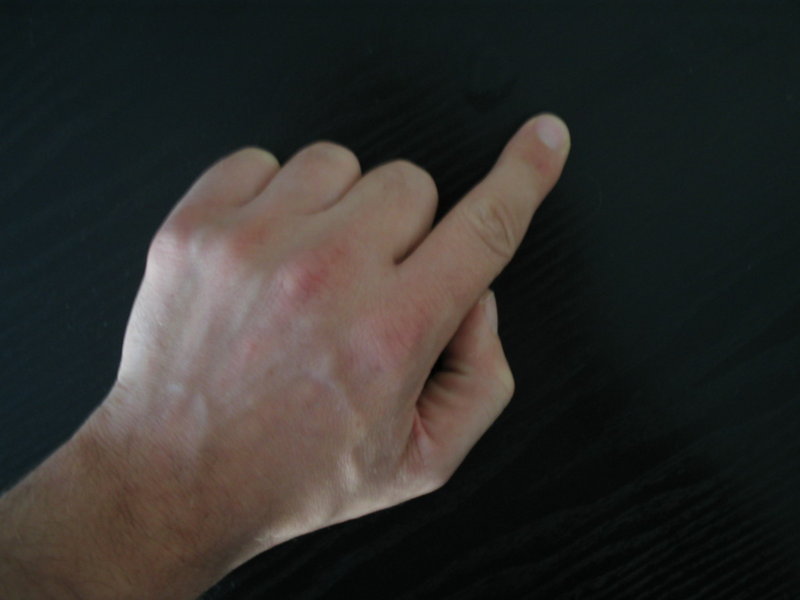 Index_finger.jpg