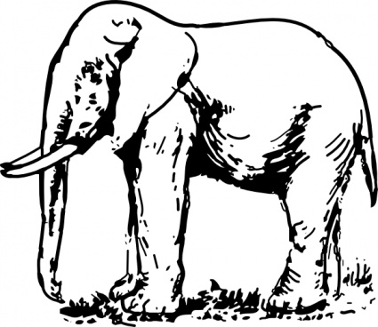 Download Elephant Drawing clip art Vector Free