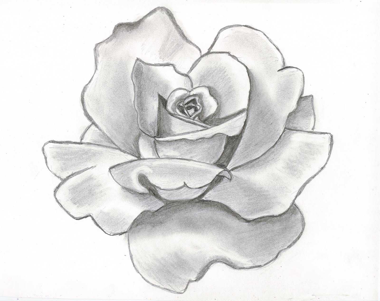 Easy Flower Drawing Ideas - Gallery