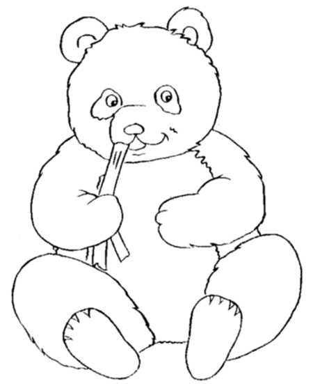 Panda Bear Outline Drawing | picturespider.com