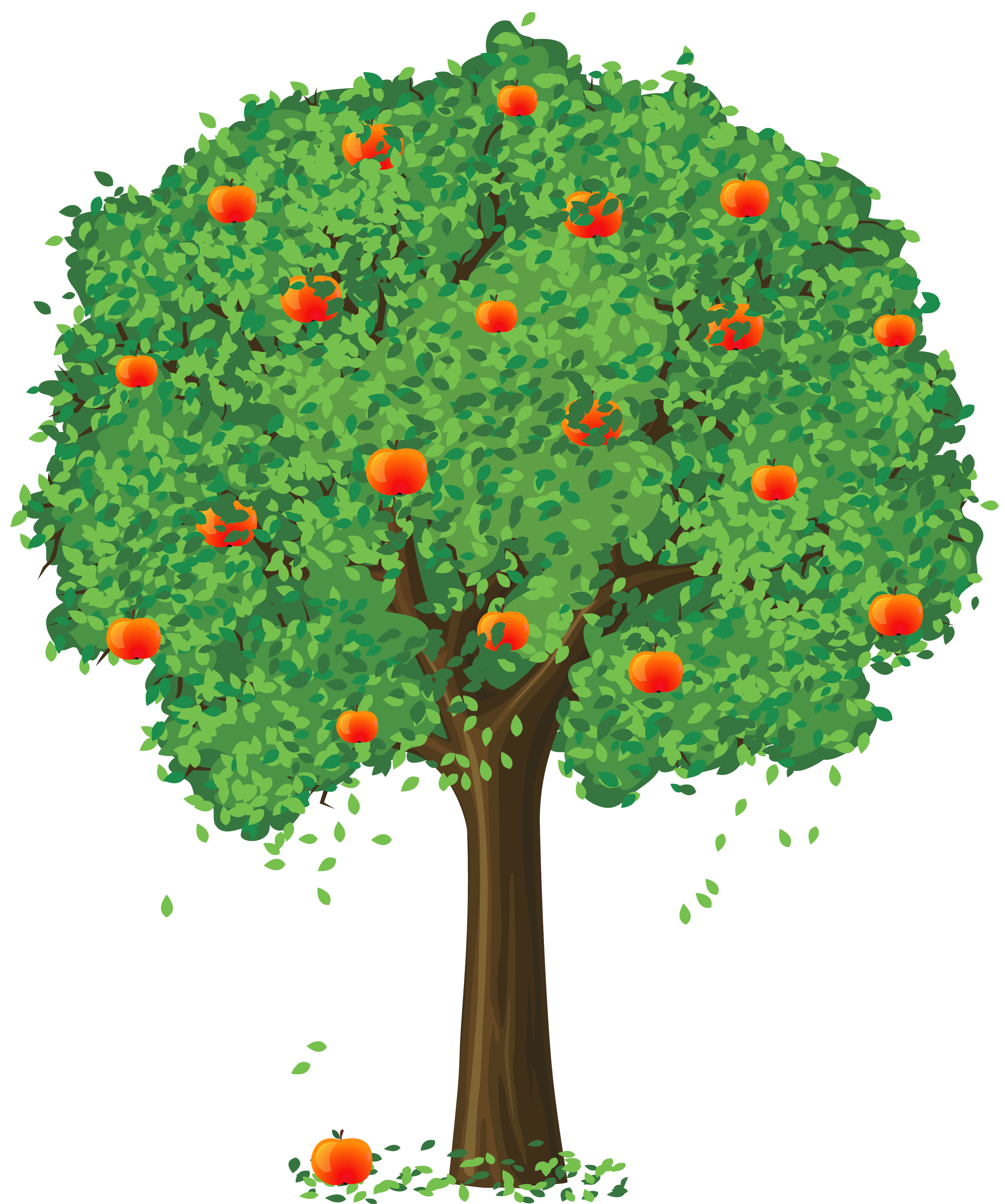 Apple Tree Clipart - Gallery