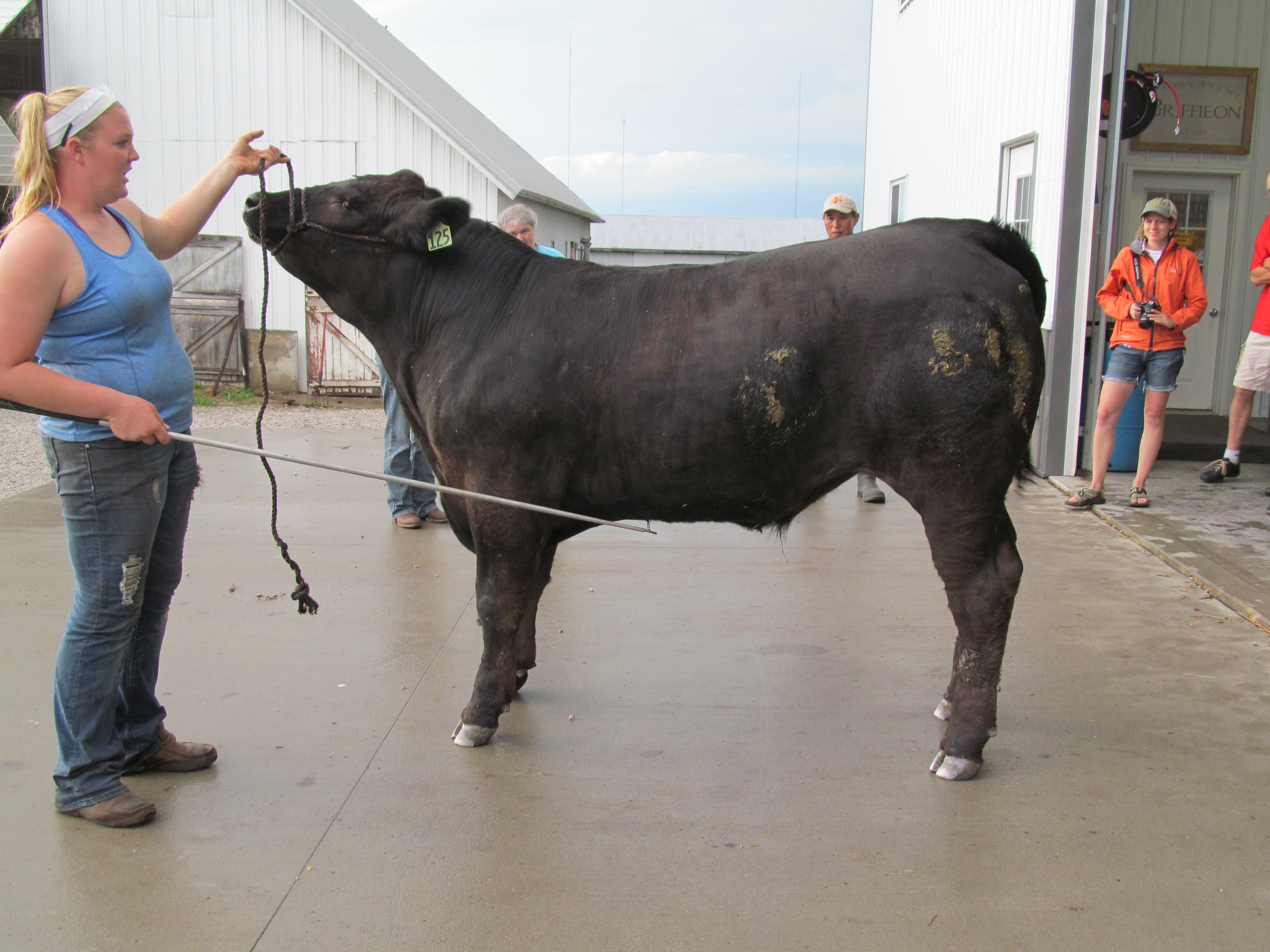 Field Day Recap: Fit and Trim: Hoof, Hair & Feather Care for ...