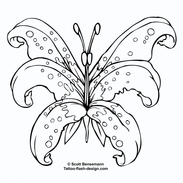 Butterfly-lily-stencil-outline ...