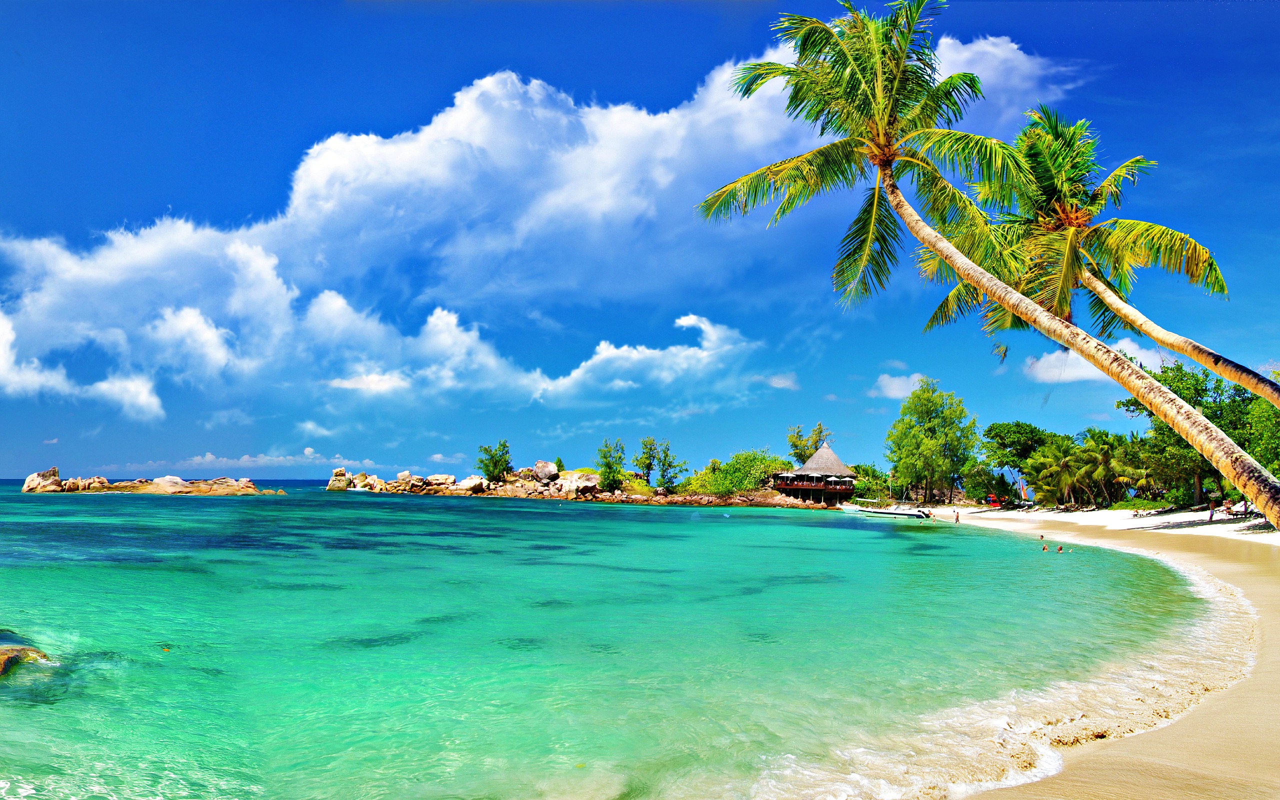 Beach Background Wallpaper HD #6975520