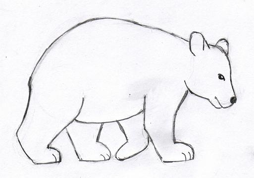 Bear Drawing