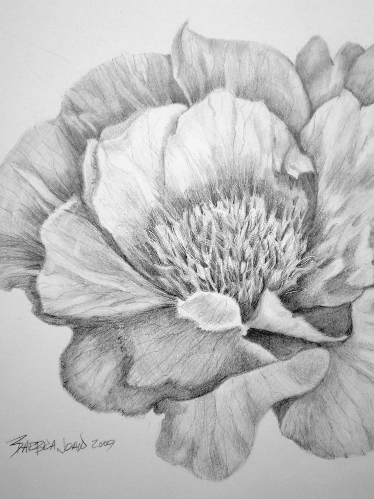 flower drawings | Art Hearts Place: Pencil Drawing | Fashion ...