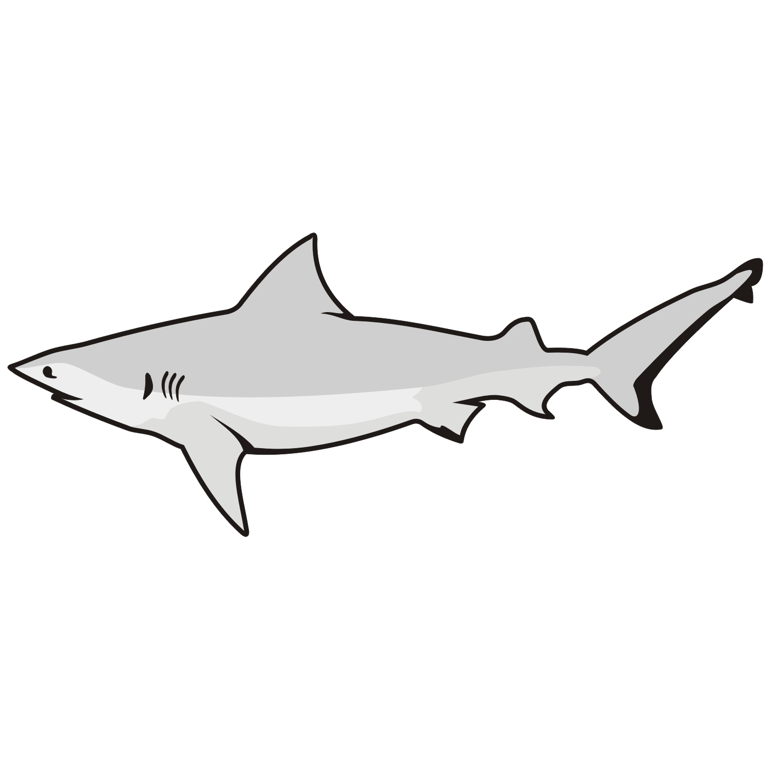 Vector for free use: Great white shark - ClipArt Best - ClipArt Best
