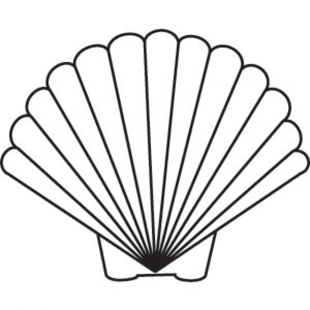 Scallop Shell clip art Vector | Free Download