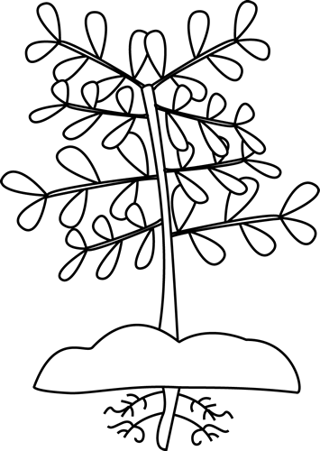 Black and White Plant with Roots Clip Art - Black and White Plant ...