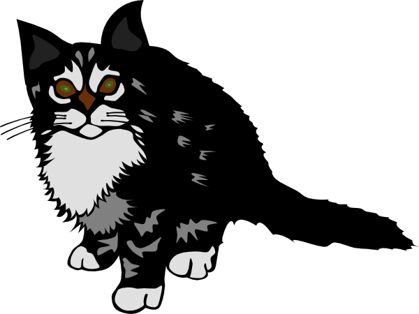 Kitten Yawning Free Vector / 4Vector