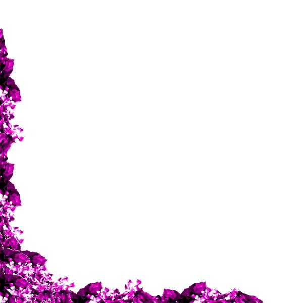 Nice Border Design | Adiestradorescastro.com Clipart