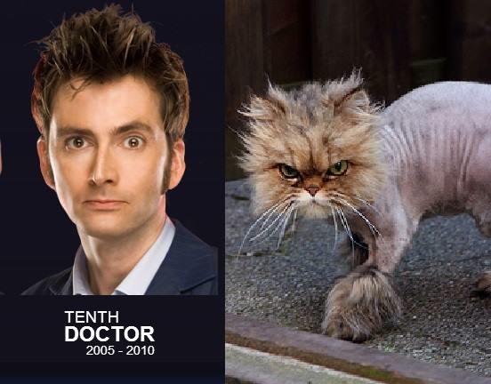 Doctor Who thing: what if the Doctors were cats (part 2 ...