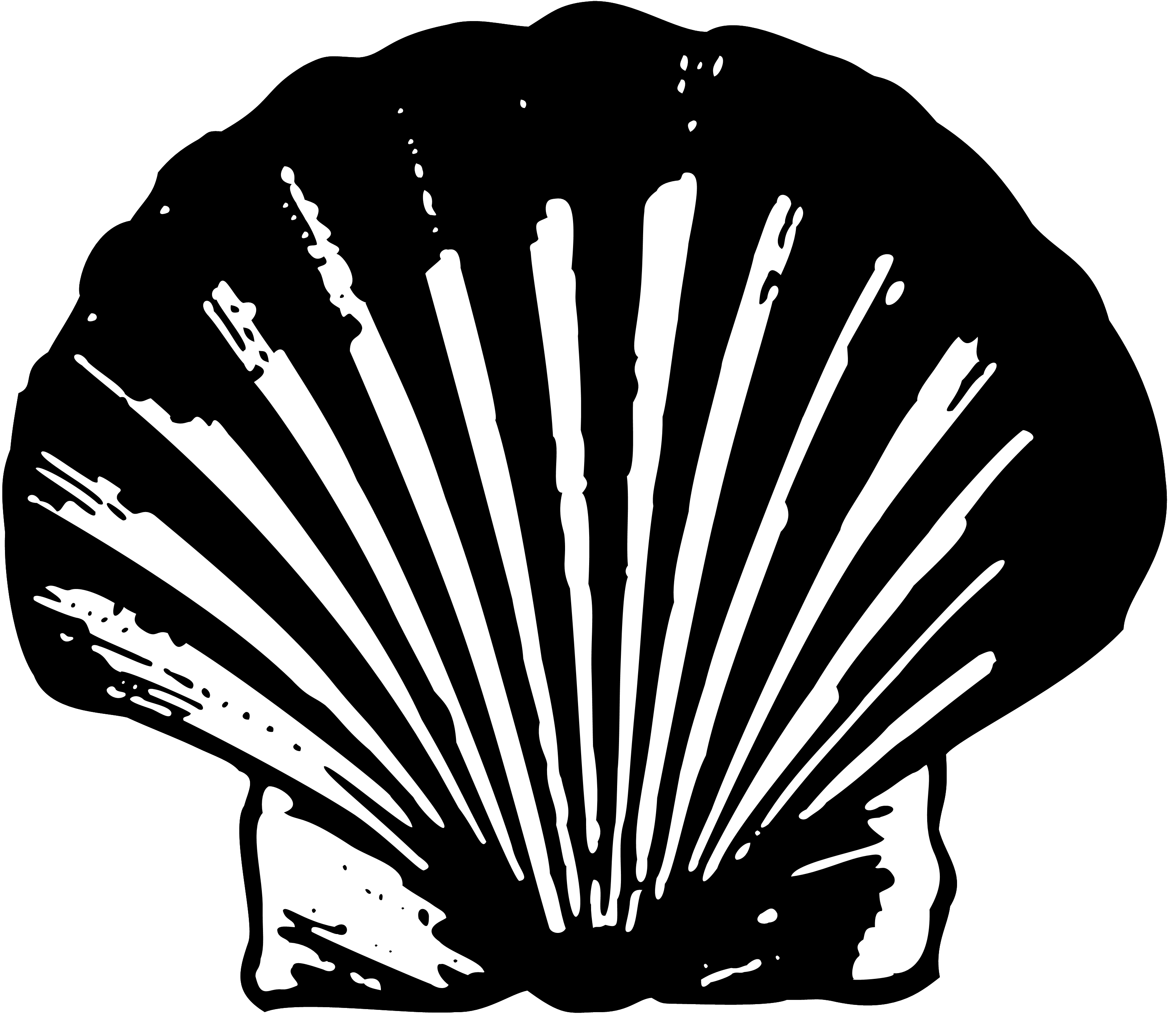 shell.png