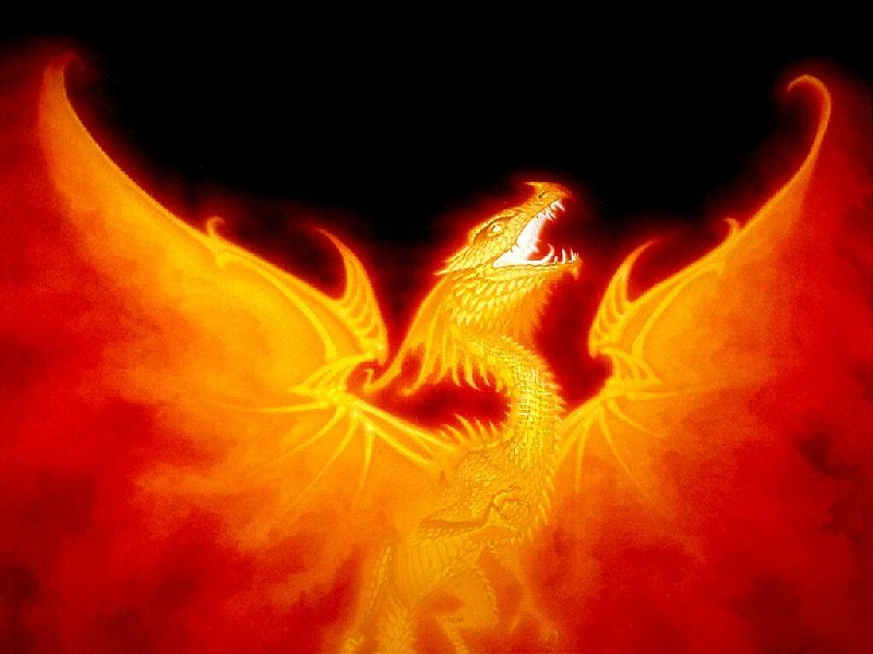 Fire dragon - HOME