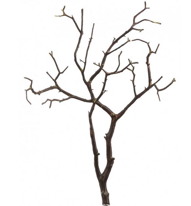 What Branches Do We Need? - Vrovona - A'therys Ascended