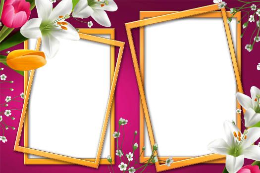 beautiful page border design | FRAME BORDER DESIGN | Pinterest