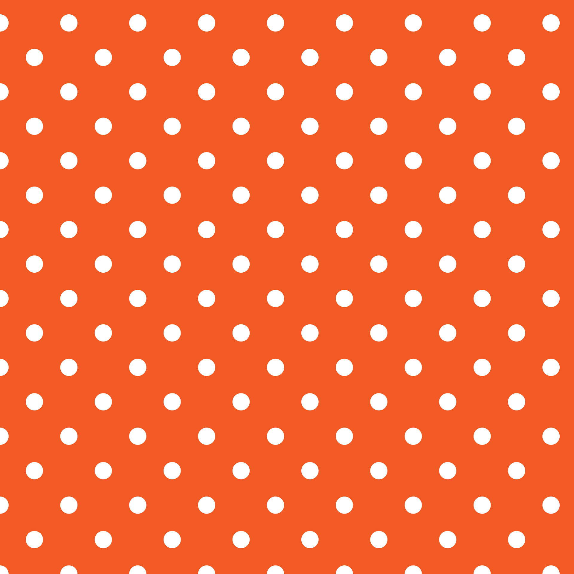 polka-dots-orange-background-1364303503xIK | Penn's Favorite (And ...