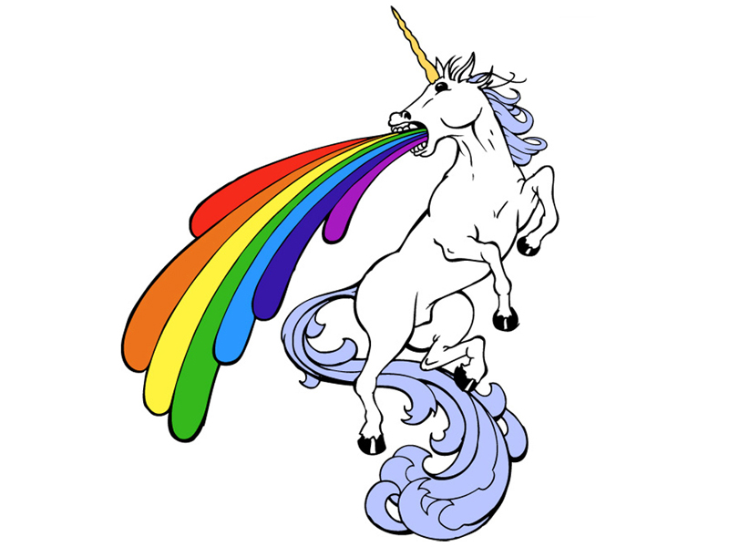 How Punk Rock Made Me a Better Entrepreneur | caroline moore