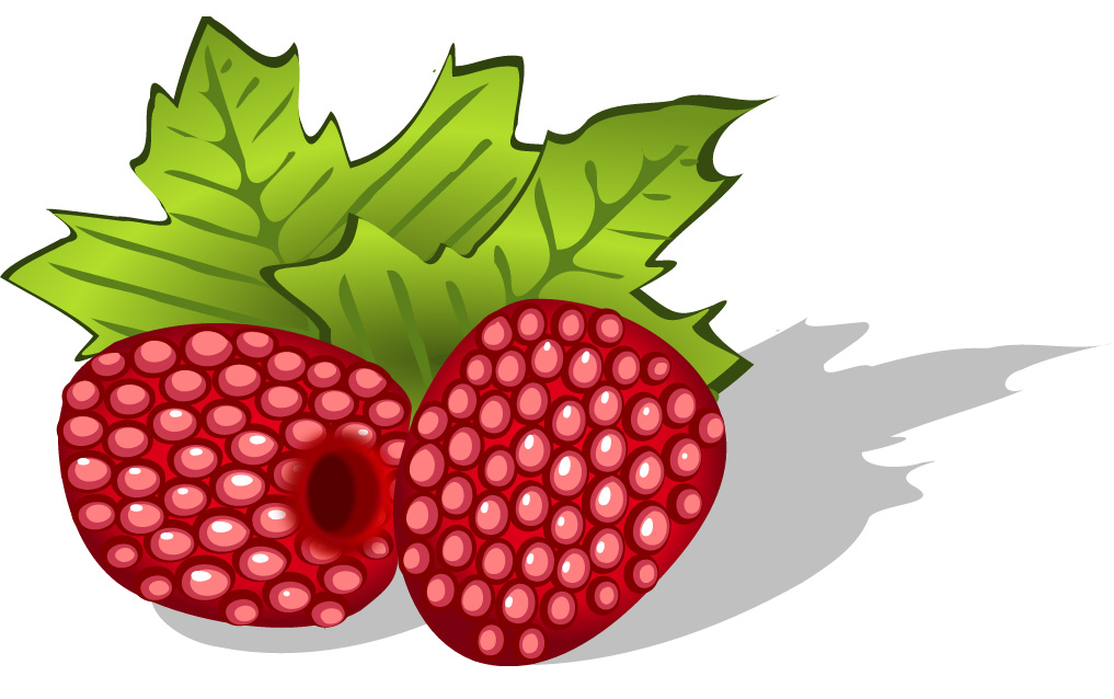 Fruits | Free Cliparts