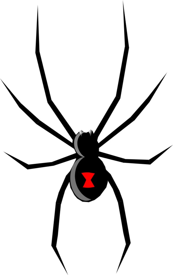 black widow - vector Clip Art