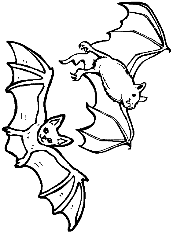 Nocturnal Animals Coloring Pages : Bats Flying