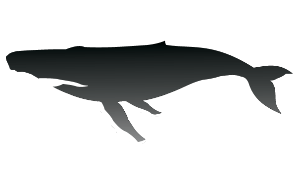 Free Humpback Whale Vector Silhouette | Download Free Vector Clip ...