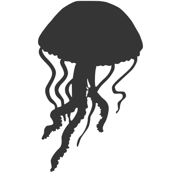 Jellyfish Silhouette Images & Pictures - Becuo